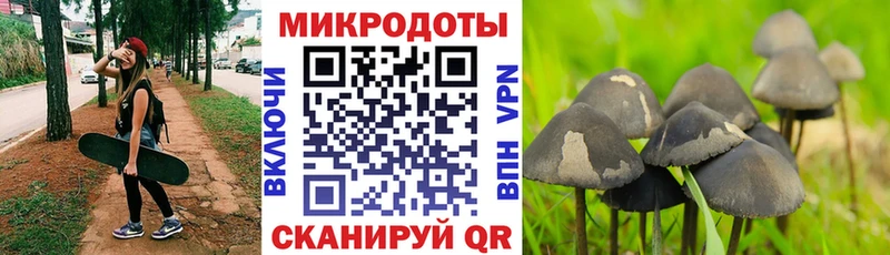 наркотики  Малая Вишера  shop состав  Псилоцибиновые грибы GOLDEN TEACHER 